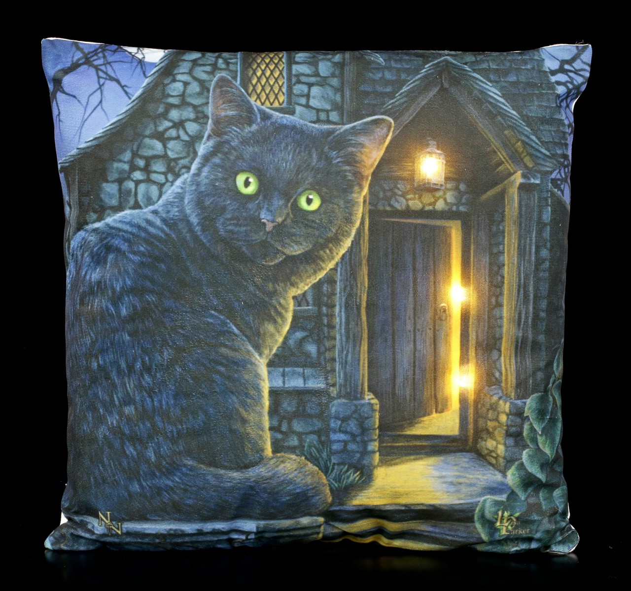 LED Cushion with Cat - What Lies Within