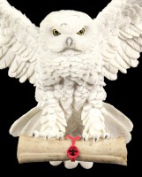 Wall Plaque White Owl - The Emissary