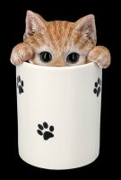 Treat Box - Tabby Cat