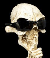 Glasses Holder - Skeleton