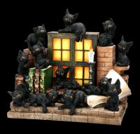 Display mit 36 Figuren - Hexen Katzen
