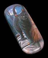 Glasses Case with Cat - A Brush with Magic