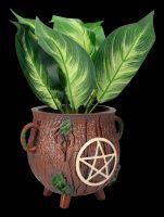 Plant Pot - Witch&#39;s Cauldron with Pentagram - Wood look