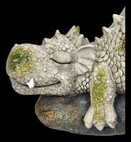 Garden Figurine Dragon Sunbathing - Siesta