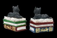 Schatullen Set - Katzen auf Büchern klein