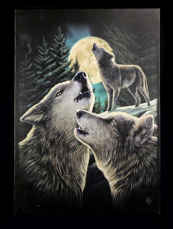 Large Canvas - Wolf Song by Lisa Parker