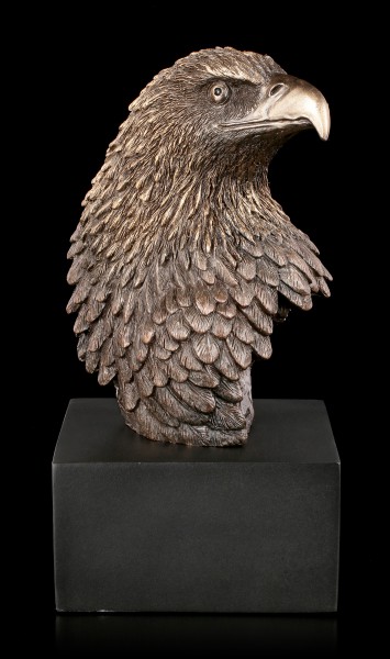 Eagle Head on black Monolith