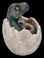 Dinosaur Figurine hatches from Egg - Raptors Birth