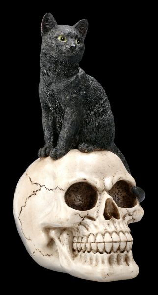 Cat and Skull Figurine - Familiar Fate
