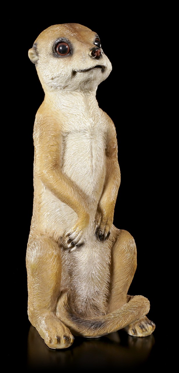 Garden Figurine - Male Meerkat