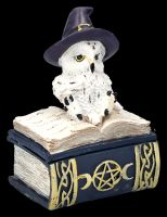 Box - Witch Owl on Book blue