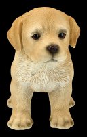 Dog Figurine - Labrador Puppy