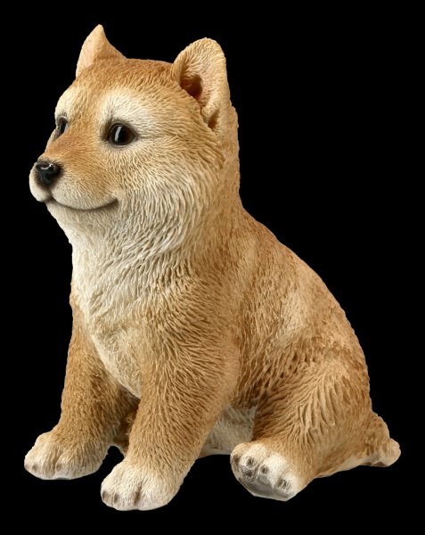 Figuren Hund Japan Shiba Inu Anime Sammeln Spielzeug Kinder Geschenk 