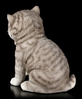 Baby Katzen Figur - Amerikanisch Kurzhaar sitzend