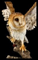 Large Barn Owl Figurine