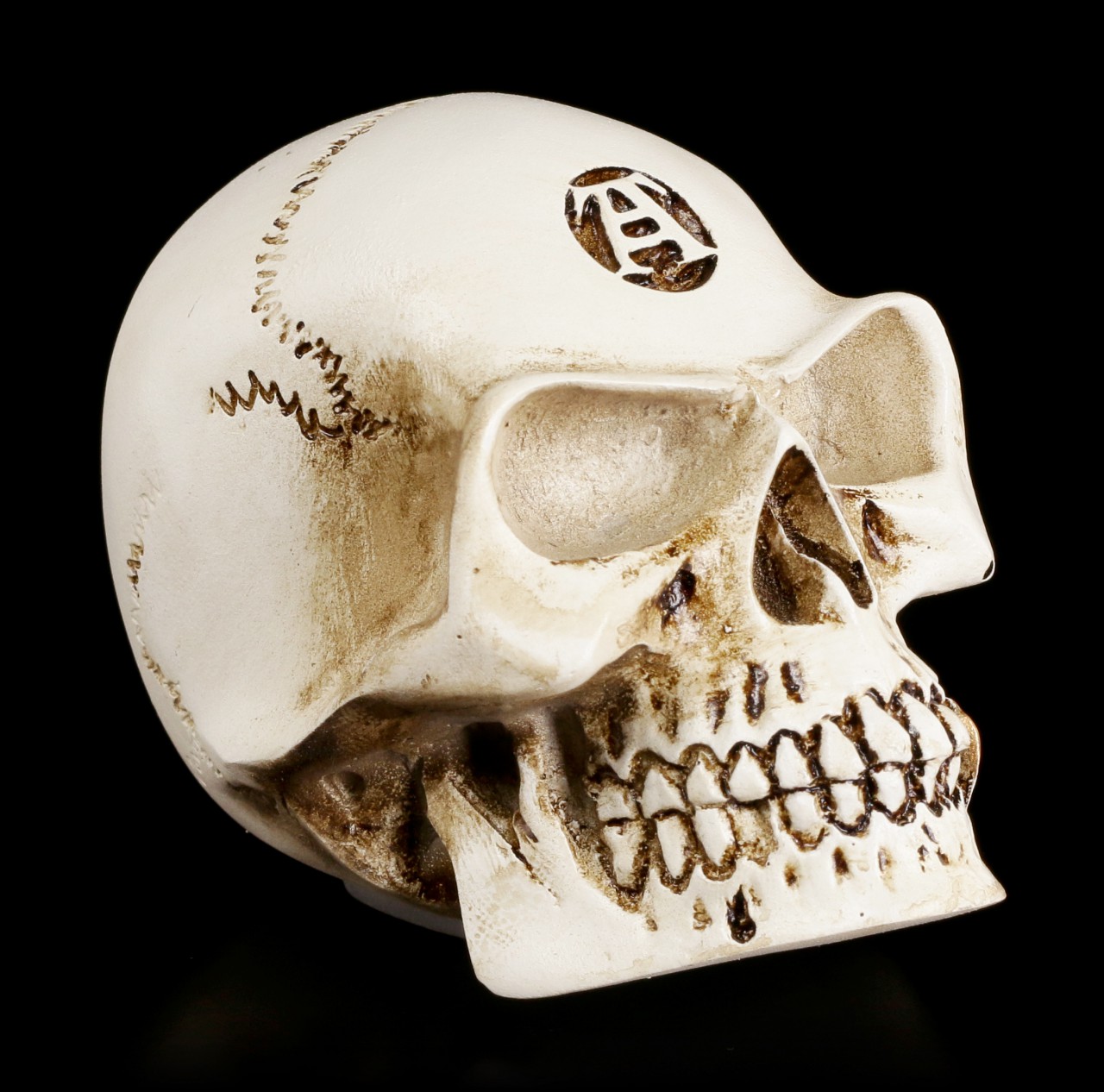 Alchemy Skull Gear Knob - Alchemist Bone