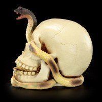 Totenkopf - Kobra schlängelt sich durchs Auge