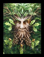 Small Canvas - Oak King by Anne Stokes