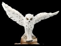 Snowy Owl Figurine - Message for the Wizard