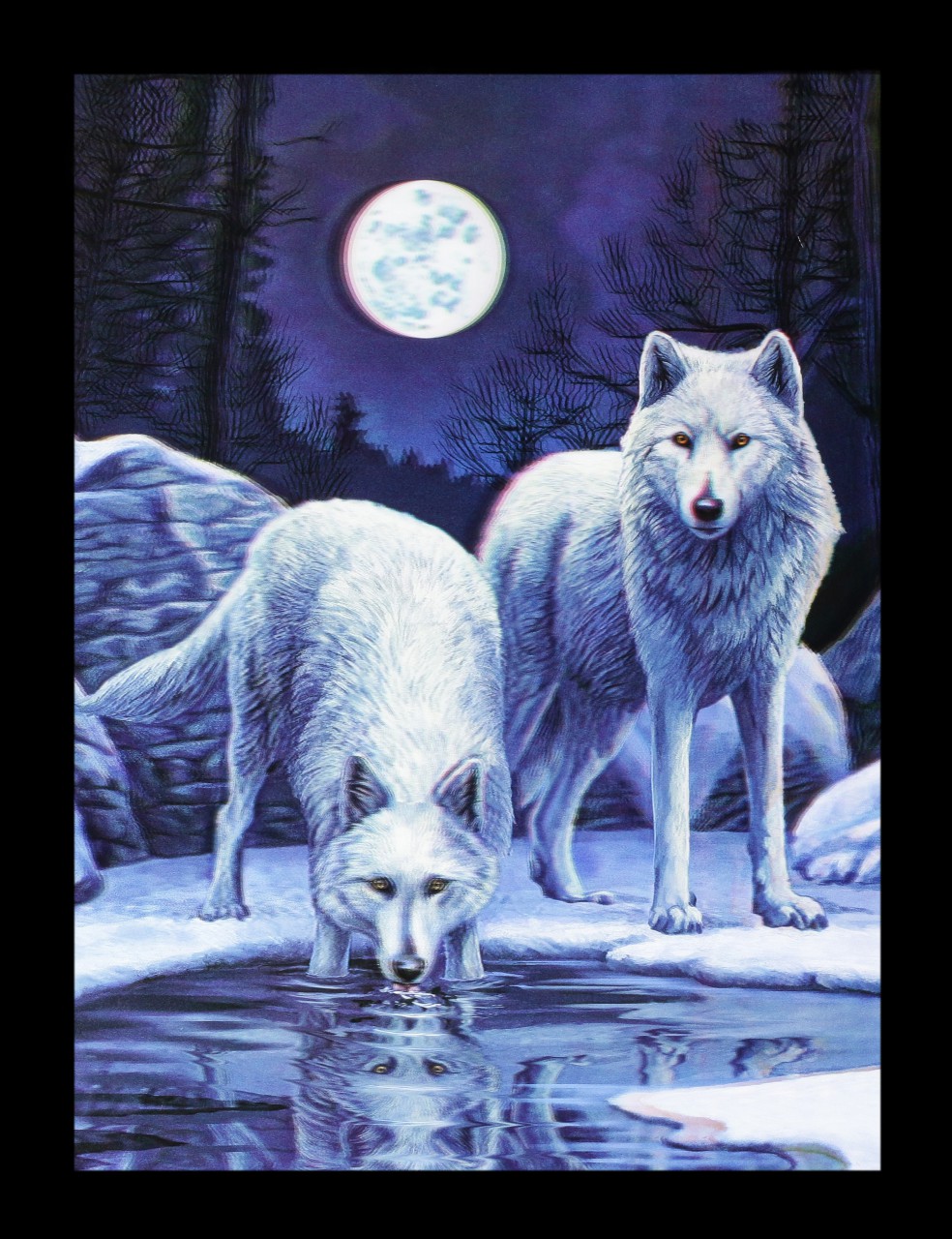 3D Picture with Wolves - Warriors of Winter