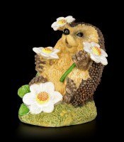 Funny Hedgehog Figurine with Daisies - Flowerspell