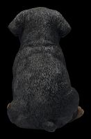 Rottweiler Puppy Figurine