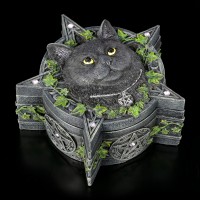 Pentagram Box with Cat - The Charmed One