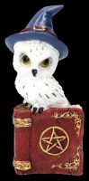 Owl Figurines on Spell Book Set of 2