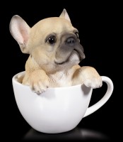 Hund in Tasse - Französische Bulldogge
