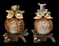 Funny Owl Figurine - Set of 2 - Animal Headdress