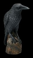 Black Raven Figure