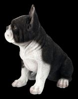 Französischer Bulldogge Welpen Figur