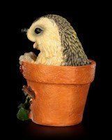 Funny Hedgehog Figurine in Flowerpot - Kuckuck