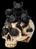 Skull with Kittens - Cranial Litter