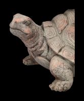 Gartenzwerg Figur - Reitet auf Schildkröte