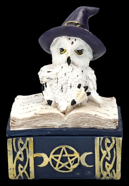 Box - Witch Owl on Book blue