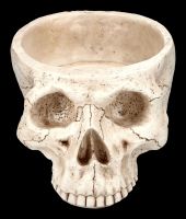 Skull Plant Pot Bone Coloured large