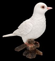 Garden Figurine - White Dove - Diamond Dove