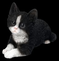 Baby Cat Black and White Decoration Figurine