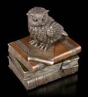 Box - Owl Figurine on old Books
