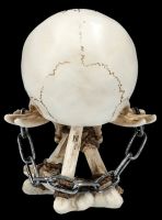 Skull Figurine on Bones - The Reckoning
