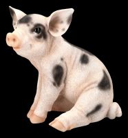 Schweine Figur - Geflecktes Ferkel