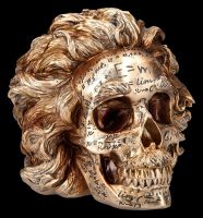 Skull Figurine - Einstein Theory of Relativity