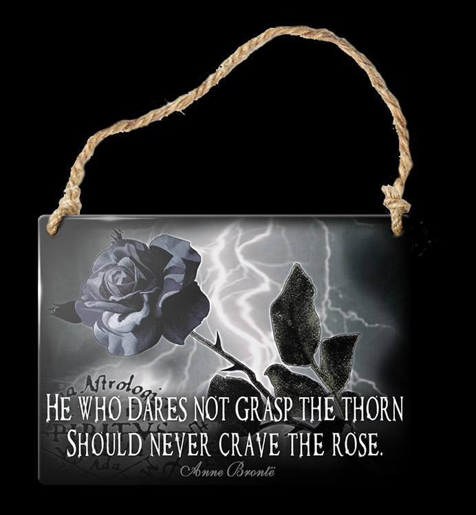 Alchemy Metallschild klein - Never Crave The Rose