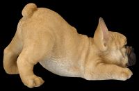 Dog Figurine - French Bulldog Puppy Wants to Play