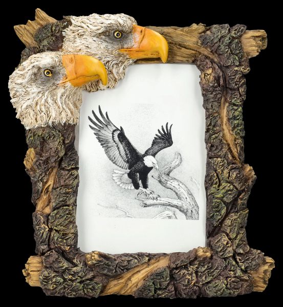 Bilderrahmen Adler - Weißkopfseeadler