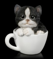 Schwarz-Weißes Kätzchen in Tasse - klein