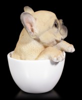 Dog in Cup - French Bulldog