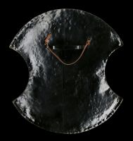 Wanddeko - Trojanisches Schild