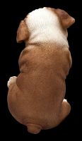 Bulldogge Welpen Figur als Blumentopf-Hänger